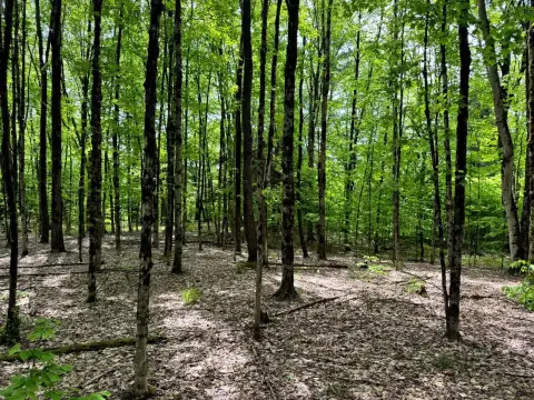 25 Acres of Recreational Land