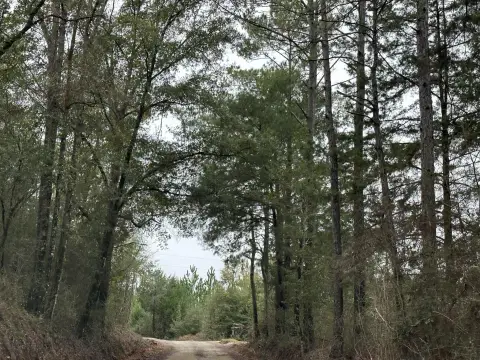 Agricultural Land Parcel