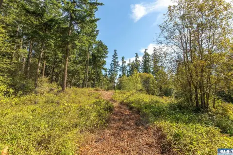 Port Townsend Land Opportunity