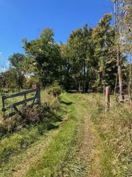 Hunting Land with Established Improvements