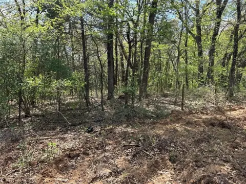 Cleared Land in Denison, Texas
