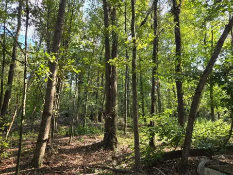 Beech Island Wooded Acreage