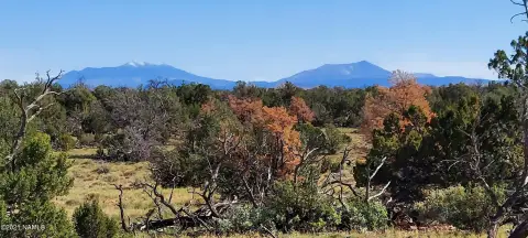 40 Acres Near Grand Canyon