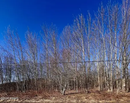 Waymart Land with Wooded Views