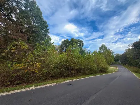 Residential Lot in Ash Flat