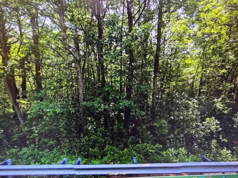 Egg Harbor Wooded Residential Lot
