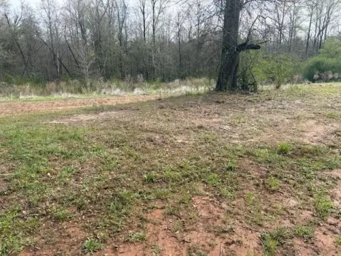 Residential Land in Troy, Alabama