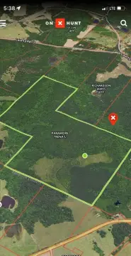 240 Acres Hunting Land Ariton