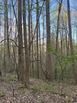 Hayesville, NC Wooded Lot