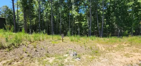 Vacant Lot in Blue Ridge