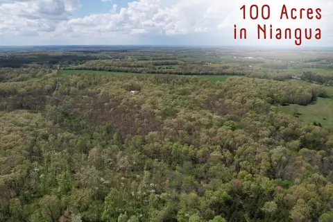 Secluded 100-Acre Hunting Land