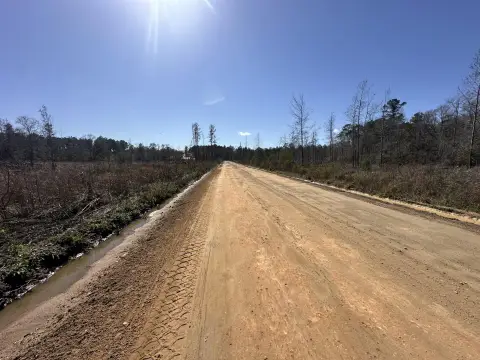 Agricultural Hunting Land