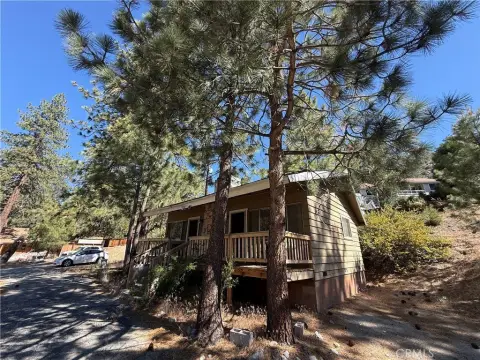 Mountain View Cabin & Motel