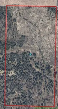 Secluded 20 Acres Near Lakes