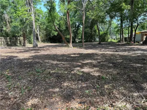 Savannah Land Development Opportunity