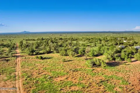 Heavily Treed Land Near Grand Canyon