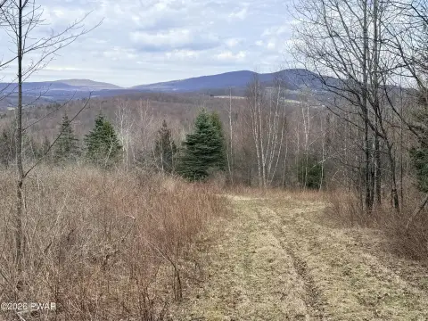 Land Near Elk Mountain Resort