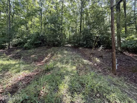 Wooded Residential Lot with Privacy