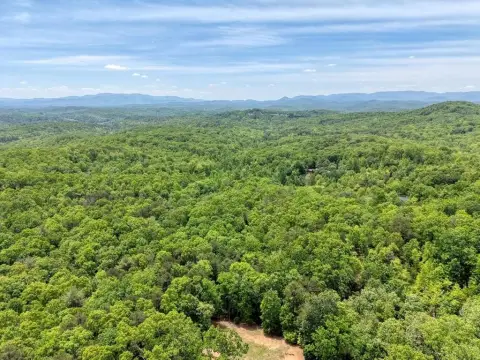 57 Acres in Fannin County