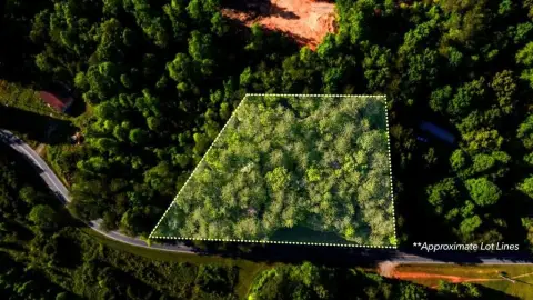 Unrestricted Land in Warne, NC