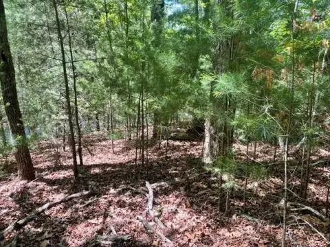 Blairsville Vacant Lot with Septic