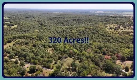 Wooded Hunting Land