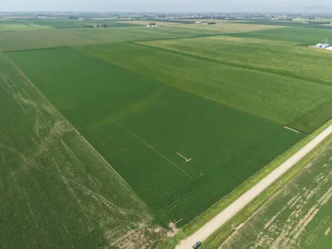 Farmland in Three Tracts