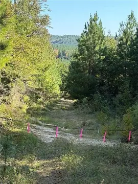 Hunting Land with Creek