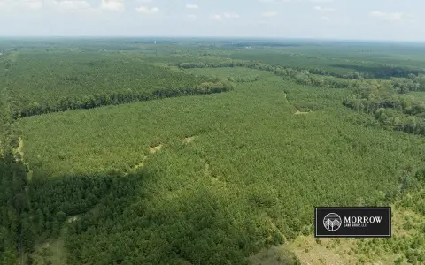 Timberland and Recreational Tract