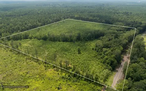 Recreation Land with Pine Plantation