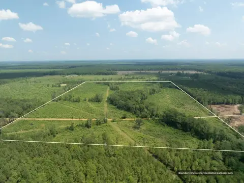 Pine Plantation Recreation Land
