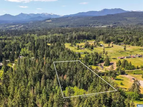 Wooded Residential Development Parcel