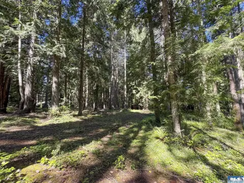 Residential Development Land With Utilities
