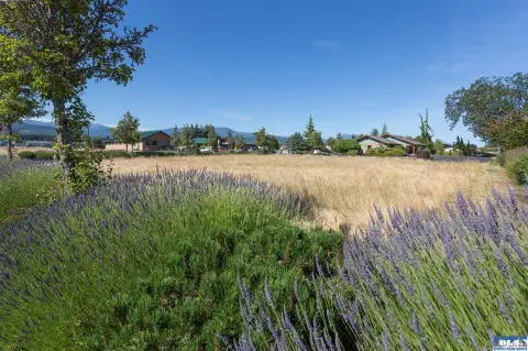 Level Corner Commercial Land Lot
