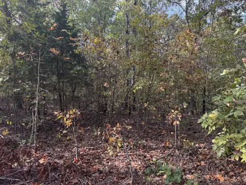 Wooded Acreage South of Norwood