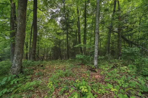 Two Residential Lots Near Lakes