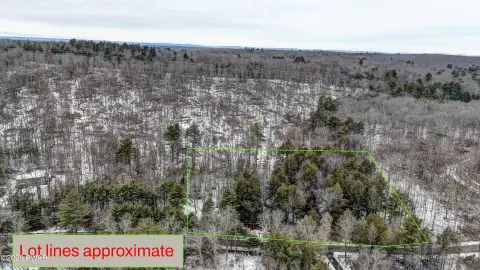 Vacant Land in Tink Wig