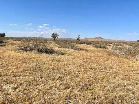 Agricultural Land