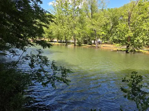 Unrestricted Riverfront Land in Blairsville