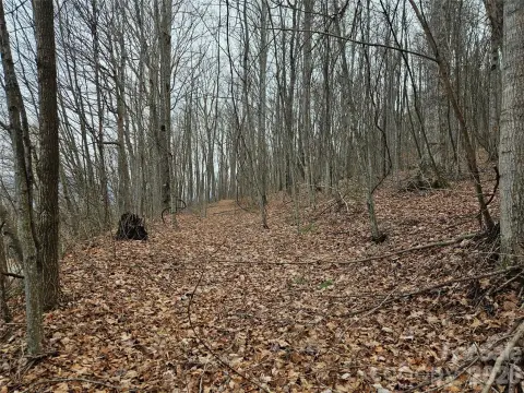 Level Land in Gated Community