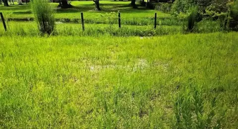 Fenced Agricultural Land