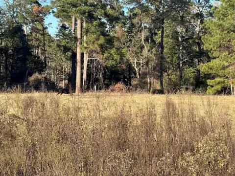 Centerville Land with Ranch Amenities