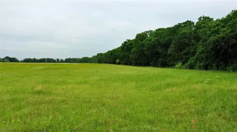 Multi-Use Ranch Land with Hay