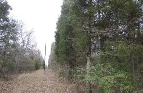 25 Acres Timbered Land Ready