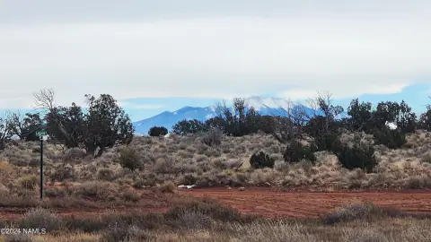 Williams, AZ Land with Views