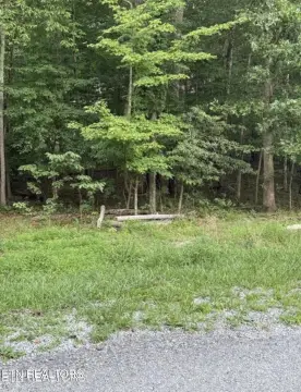 Wooded Lot in Crossville, TN