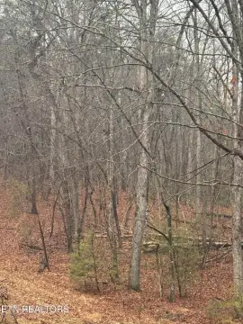 Land For Sale, Crossville, TN