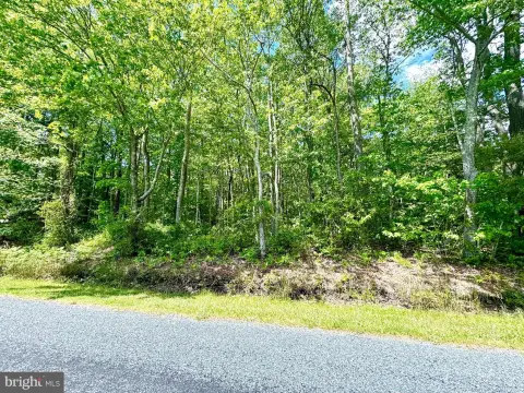 4.37 Acres Wooded Land