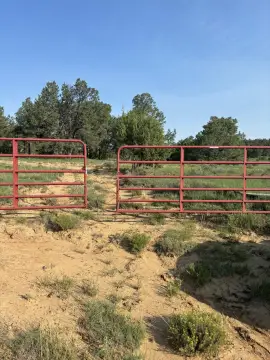 Recreation Land with Meadow