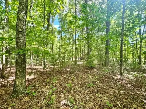 Murphy, NC Vacant Lot